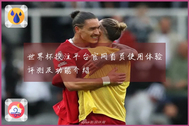 世界杯投注平台官网首页使用体验评测及功能介绍