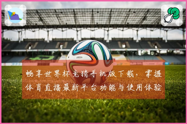 畅享世界杯竞猜手机版下载，掌握体育直播最新平台功能与使用体验