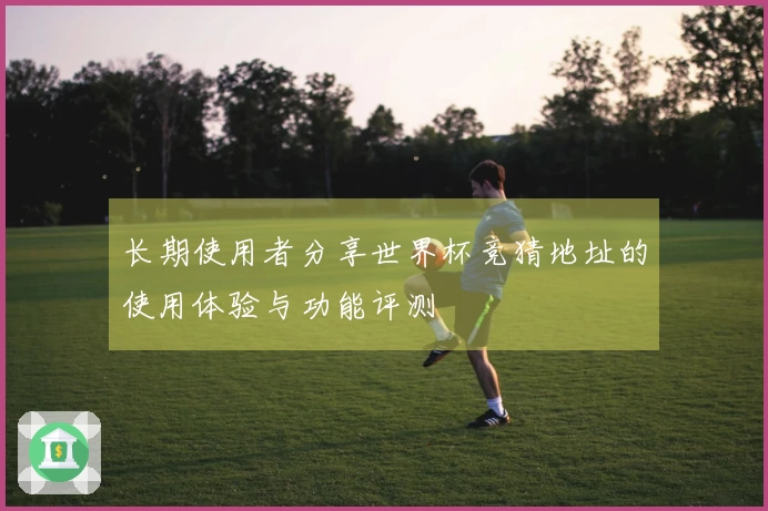 长期使用者分享世界杯竞猜地址的使用体验与功能评测